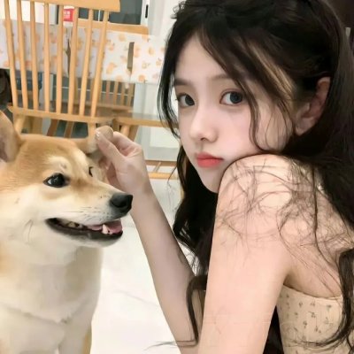 萌犬好声音2封面