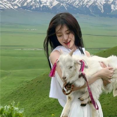 达克布拉德封面